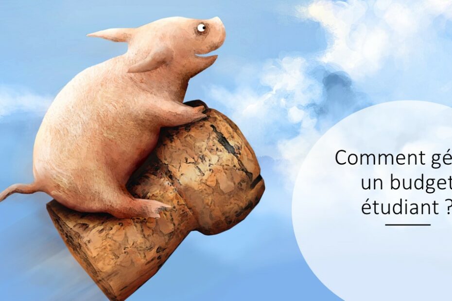 Gérer un budget étudiant